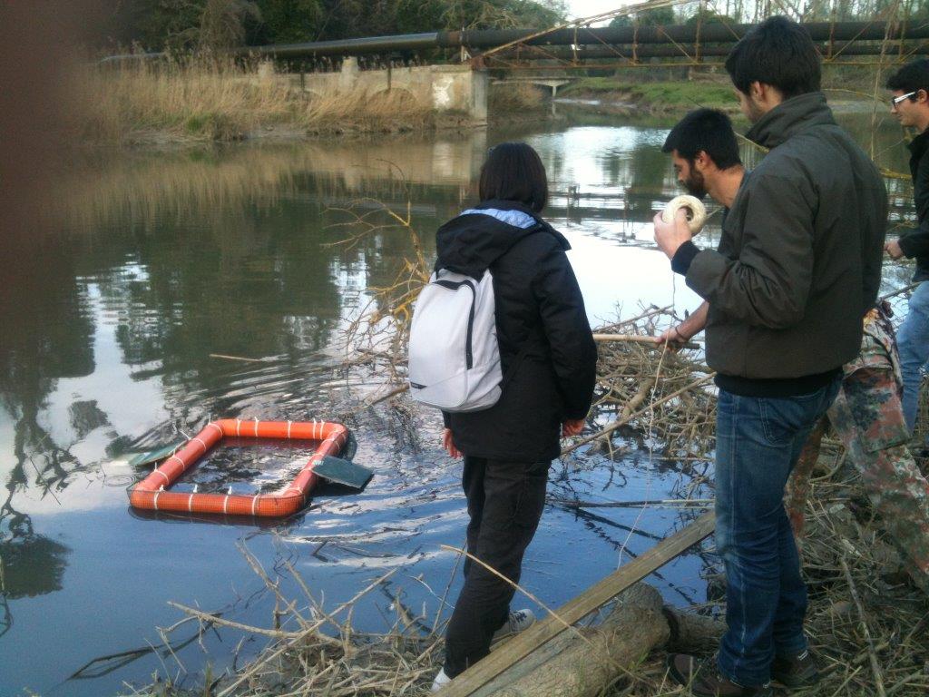 VOLONTANFIBI 2014: Parco Regionale MSRM